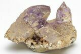 Amethyst Crystal Cluster - Las Vigas, Mexico #204639-1